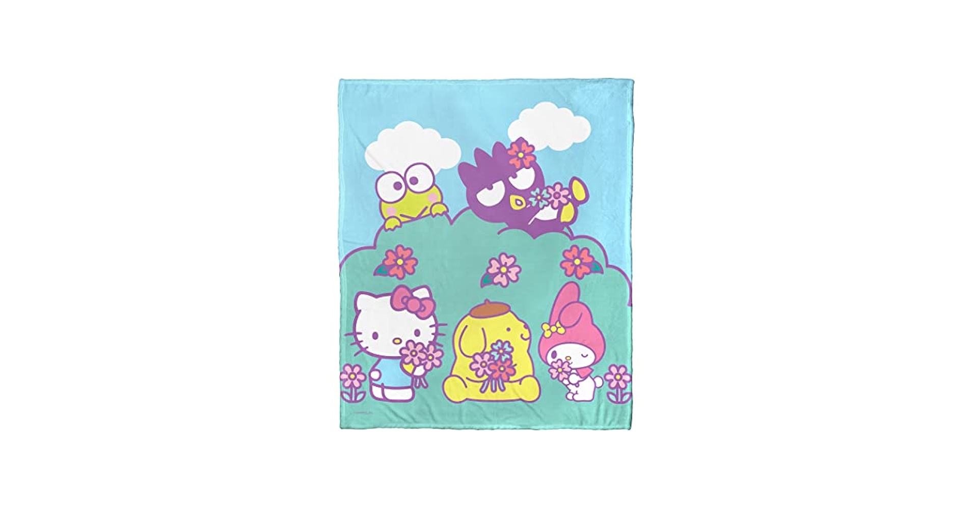 Amazon.com: Northwest Hello Kitty Silk Touch Throw Blanket